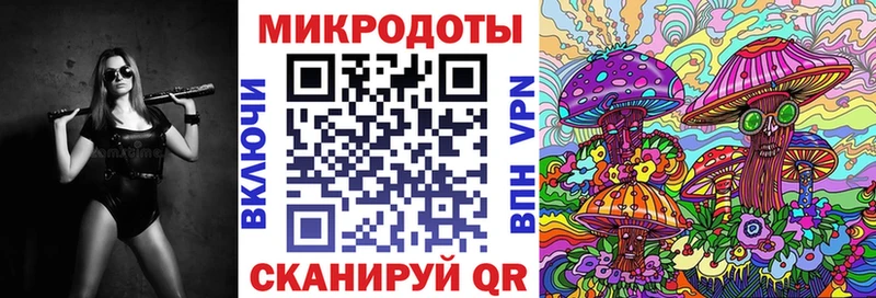 Псилоцибиновые грибы Psilocybine cubensis Красноуральск
